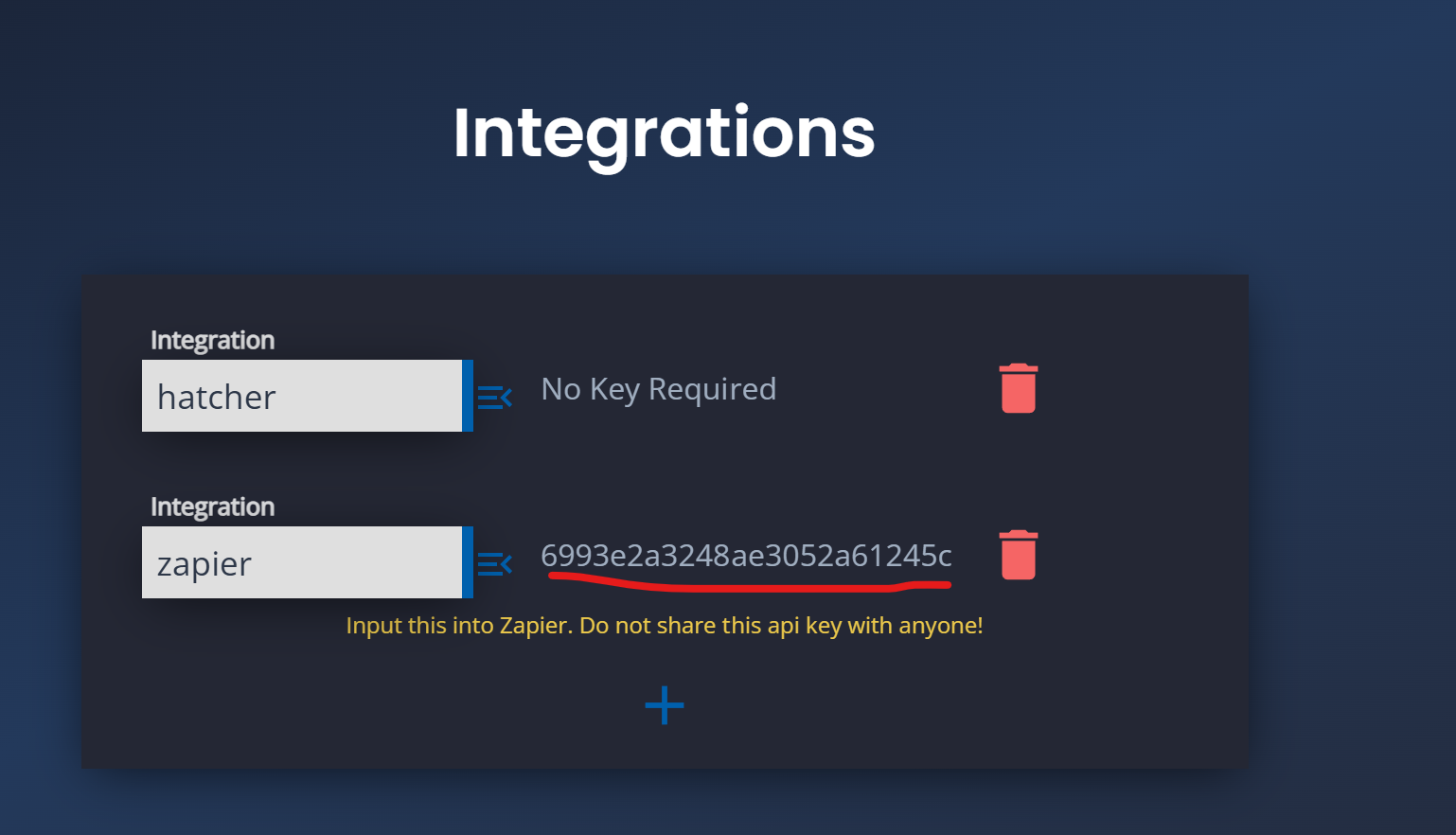 Copy API Key